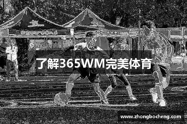 了解k1体育